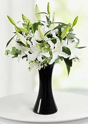 Beyaz lilyum arajman�