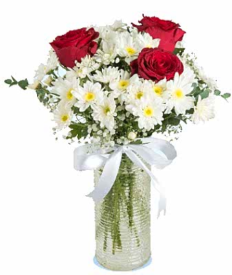 Papatya ve 3 g�l zerafeti