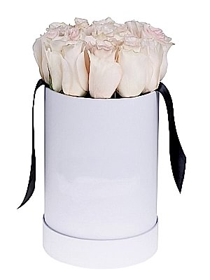 Beyaz Kutuda Somon G�ller