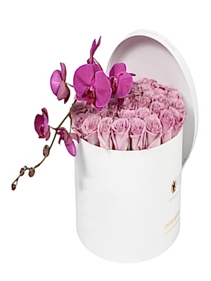 Kutuda G�l ve Orkide