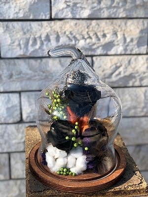 Siyah G�l�n Asaleti