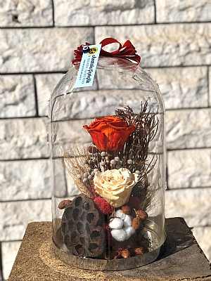 K�rm�z� - Beyaz A�k