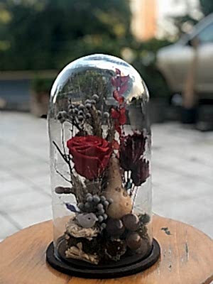 Solmayan G�l K�rm�z� Fanus