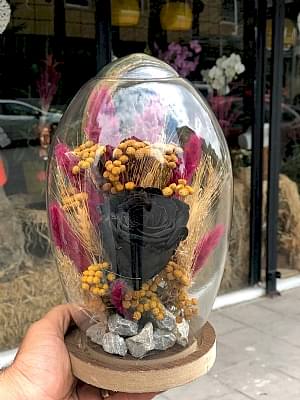 Aynal� Camda Siyah Sevda 