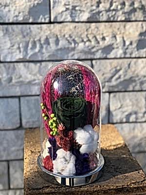 Ye�il Solmayan G�l