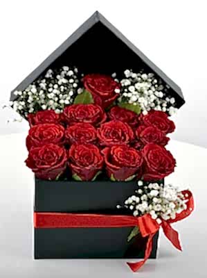 Kare Kutuda 13 K�rm�z� G�l