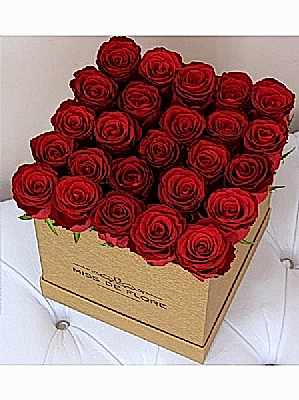 Kutuda K�rm�z� G�l