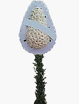  TEK KATLI BEYAZ DUVAK