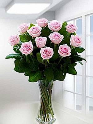 Vazoda 12 Pembe G�l