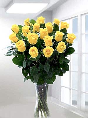  Vazoda 17 Sar� G�l