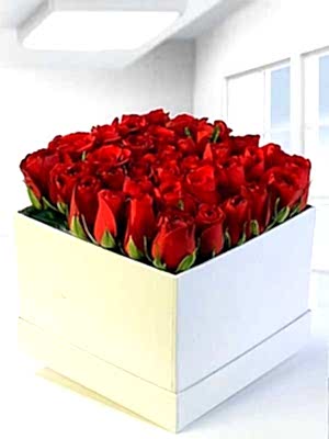 Kutuda K�rm�z� G�ller