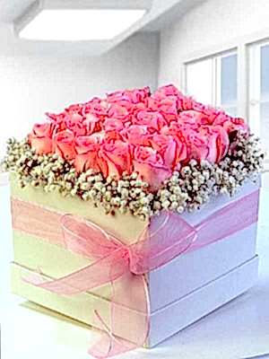 Kutuda Pembe G�ller