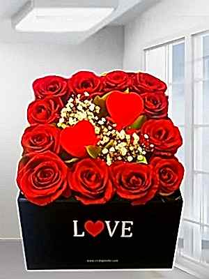 Siyah Kutuda K�rm�z� G�ller