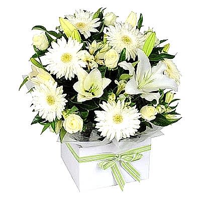 Kutuda Beyaz B�y�