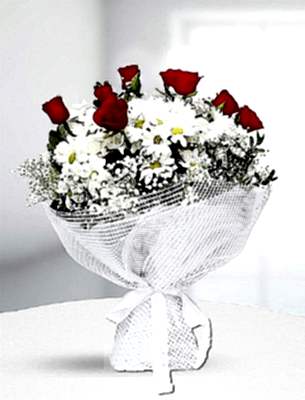 K�rm�z� G�l ve Papatya