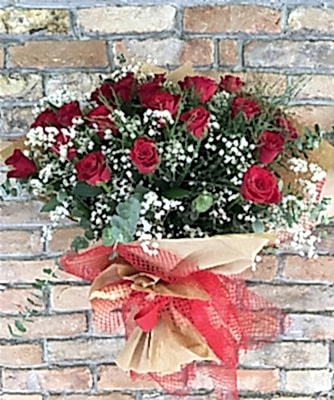 25 K�rm�z� G�l