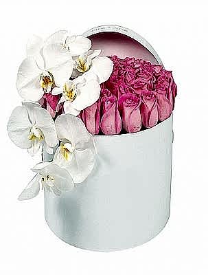 Kutuda Pembe G�ller ve Orkide