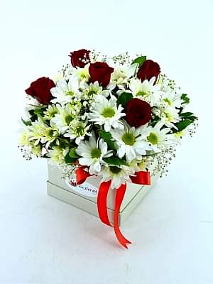 Kutuda Papatya ve G�l