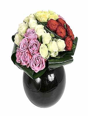 Fanusta Renkli G�ller