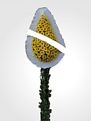 Tekli Gelin Duva��