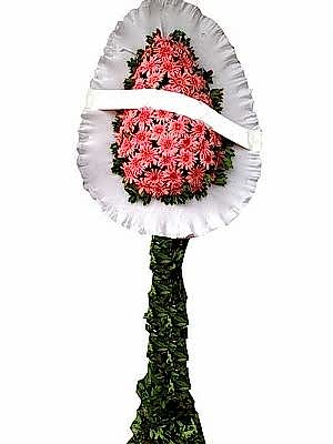 Tekli Gelin Duva��