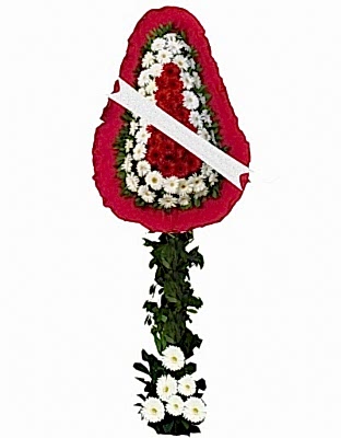 Tekli Gelin Duva��