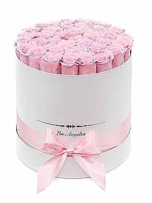 Kutuda Toz Pembe G�ller