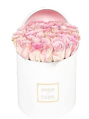 Kutuda Somon G�ller