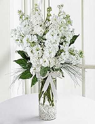 Vazoda 10 Dal Kokulu �ebboylar