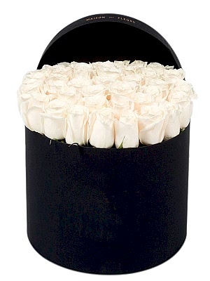 Siyah Kutuda Beyaz G�ller